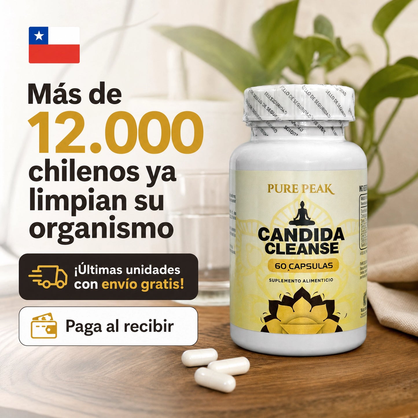 CANDIDA CLEANSE original