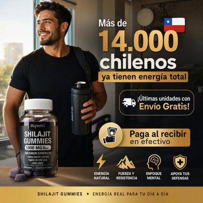 Shilajit Gomitas